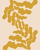 plakaty Plakat Anguliger 3
