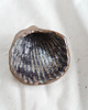 pojemniki na biżuterię Miseczka COQUILLAGE 2