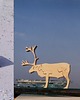 klocki i zabawki drewniane Niedźwiedź polarny / Polar bear 5