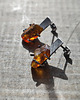 kolczyki srebrne Dark Amber Srebro  - kolczyki oksydowane bursztyn 3