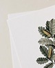 plakaty Zestaw dwóch plakatów- Liście dębu 4
