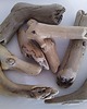 dodatki - różne Drift wood 2