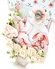 kartki scrapbooking Kartka body w pudełku 5