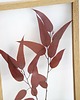 dodatki - różne Liście Eucalyptus Willow rozmiar M 1