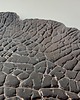 patery i talerze Ceramiczny talerz liść kapusty 1 3