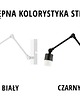 kinkiety Loftowy kinkiet na wysięgniku ALCAMO LOFT 6