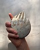 pojemniki na biżuterię Ceramiczna Łapka Handmade Talerzyk na Biżuterię Stracciatella 5