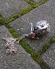 wisiory Twardy orzech do zgryzienia - wisiorek 4