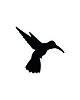 broszki FeltHummingBird 1