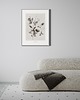 grafiki i ilustracje Plakat Jeżyny - Fine Art Print 1