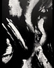 obrazy Abstrakcja "Fingerprints" 70x100 2