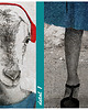 obrazy OBRAZ NA PŁÓTNIE -Mała Koza- 80x120cm 3