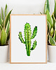plakaty Plakat KAKTUS, grafika, obraz BOTANICZNY zielony 2