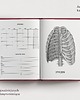 kalendarze i plannery Planer Anatomiczny 4