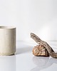 kubki Kubek ceramiczny biały prosty 1