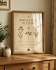 grafiki i ilustracje Vintage grafika botaniczna zioła 7