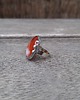 pierścionki - różne W kółko - pierścionek regulowany 1