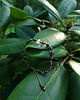 bransoletki z kamieni naturalnych Bransoletka Herkimer, Heliotrop, Rubin, Granat 2
