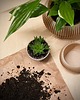 doniczki Średnia doniczka 71P01.500.OAK / eko / zero waste / minimalizm 5