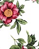 kocyki, kołderki, pościel dla dzieci Pościel z wypełnieniem Flowers Pink - 100%  Bawełna, Perkal 2