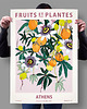 plakaty Plakat botaniczny "Ateny" 1
