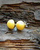 kolczyki wire wrapping BURSZTYNEK MLECZNY  kolczyki sztyfty 2