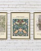 plakaty ZESTAW PLAKATÓW vintage, William Morris 1