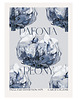 plakaty Plakat  Peonie vintage blue 4