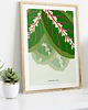 plakaty Plakat Maranta 3