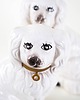 figurki i rzeźby Ceramiczne figurki psy, styl angielski, lata 70, produkcja: Niemcy 9