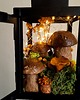 dekoracje świetlne Lampion z grzybami lampka latarnia grzyby kurki borowiki dekoracja jesienna 1