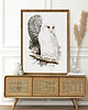 plakaty Plakat Biała Sówka 2