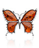 broszki Duża broszka motyl bursztynowy 1