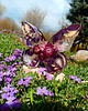 dekoracje świetlne Lampka motyl z naturalnymi kwiatami - fioletowo różowy 4