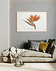 plakaty RAJSKI PTAK plakat A4, A3, 30x40 1