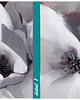 obrazy OBRAZ NA PŁÓTNIE - KWIATY MAGNOLIE 150x60cm 3