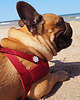 przypinki Pins ster "Rudder" 3