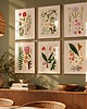 grafiki i ilustracje Ilustracje botaniczne vintage grafiki kwiaty do kuchni 4