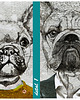 obrazy Obraz na płótnie - BULDOGI  120x80cm 3