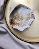 pojemniki na biżuterię Ceramiczna muszla na biżuterię krem z brązem 1