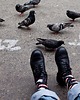 skarpetki męskie Gołębie i zapiekanki krakowskie kolorowe skarpetki we wzory Kabak 1