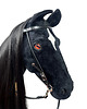 zabawki - inne Realistyczny Hobby Horse kary/czarna /łatka 5