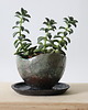 doniczki Doniczka ceramiczna raku 1