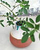 wazony Ceramiczny wazonik 1