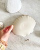 dodatki - różne Ceramiczna muszla M - talerzyk na biżuterię 5