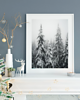 fotografia PLAKAT  zimowy las pod śniegiem 4