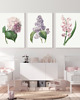 grafiki i ilustracje ZESTAW PLAKATÓW botaniczne kwiaty ilustracje 4