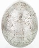 ozdoby wielkanocne Dekoracja - srebrne jajko z ceramiki 23,5x16 cm MONNI - II 2