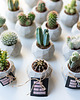 doniczki Zestaw prezentowy 3 osłonki Kule + kaktus mix 2