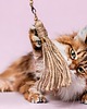Zabawki dla zwierząt Zabawka dla kota z serii WILD CAT 1